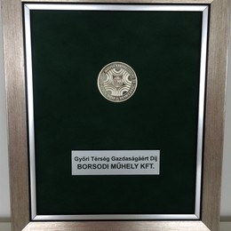 For the Economy of Győr Region Award